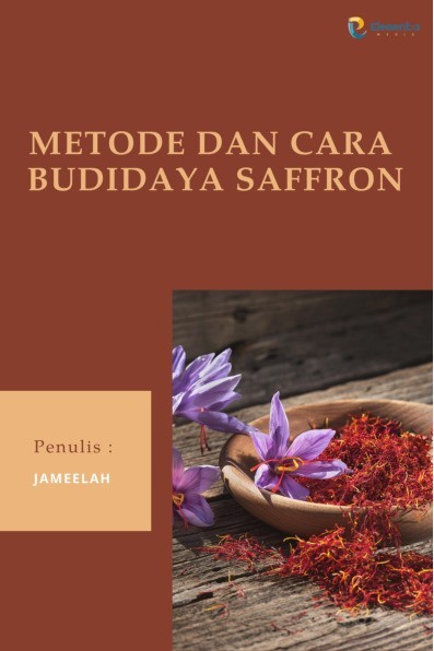 Metode dan Cara Budidaya Saffron